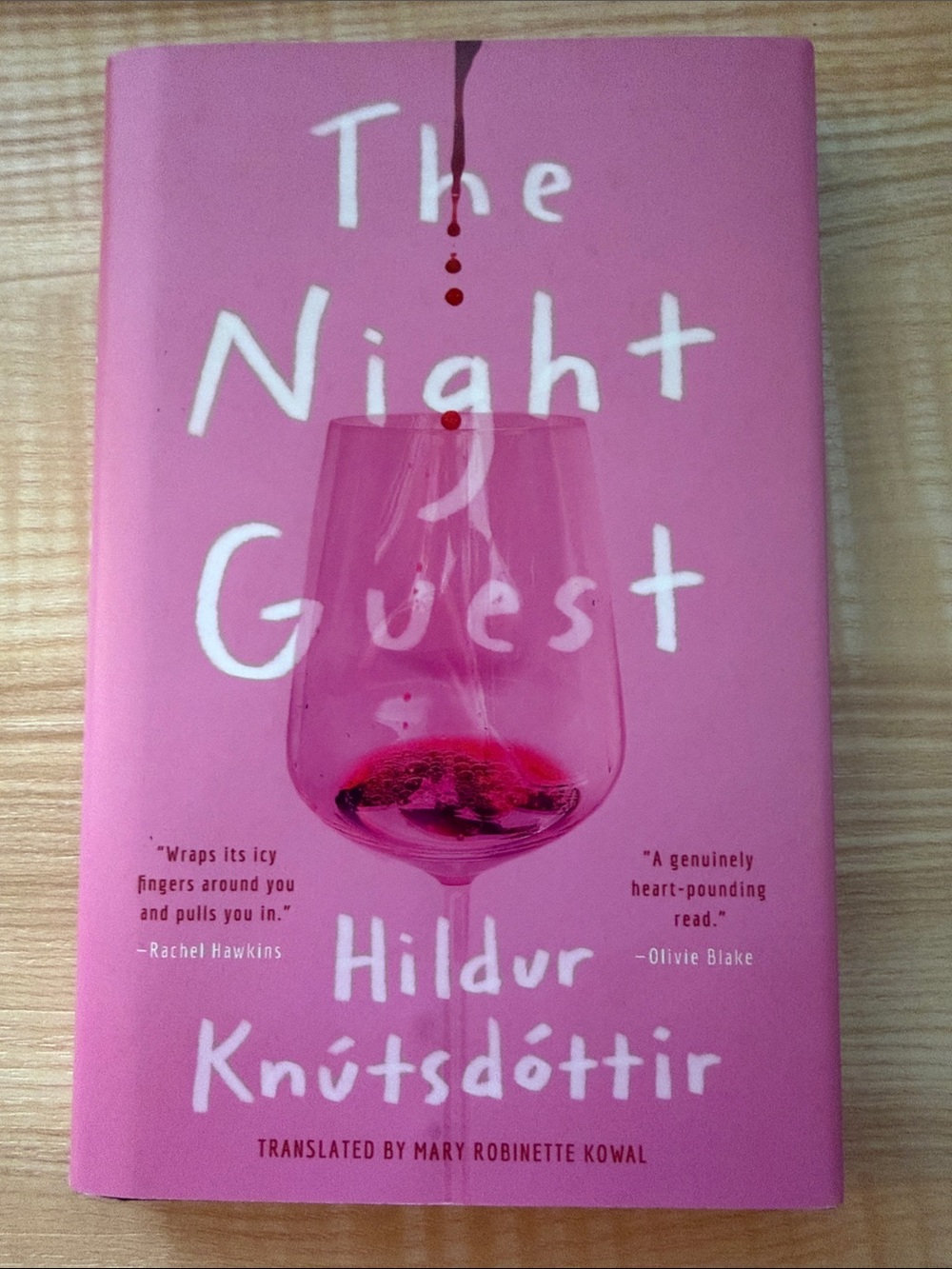 “The Night Guest” by Hildur Knutsdottir